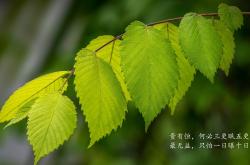 开云体育官网-2026世界杯E组暗战，范戴克铁血防线封神，波兰从加纳脚下抢走宿命之胜