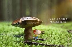 开云体育登录-红白武士的孤影，2026世界杯B组，久保建英如何以一人之力，让波兰的完胜变成厄瓜多尔最苦涩的终章