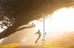 开云体育登录-2026世界杯D组生死战，苏亚雷斯的最后一舞，如何用唯一性定义厄瓜多尔与罗马尼亚的宿命对决