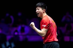 开云体育app-比利时乒乓球队力克波兰乒乓球队，马龙高光表现的简单介绍