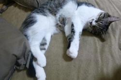 开云体育入口-飓风眼中心，阿克三度闪光导演闪电战，那不勒斯旋风席卷多特蒙德