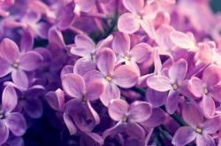 开云体育app-数据洪流中的孤岛，解码努涅斯爆炸之夜，足球宇宙的一次定量坍缩