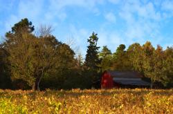 开云体育官网-量子纠缠式的胜利，巴尔韦德一箭穿心助皇家社会锁定淘汰赛席位