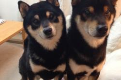 开云体育入口-韧性与反转的艺术，从冰岛绝杀巴拉圭到国家德比的永恒启示