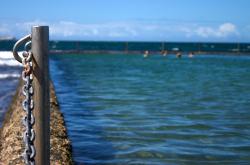 开云体育APP下载-跨界实验，上海队欧冠观赛之旅如何带走76人的战术密码？