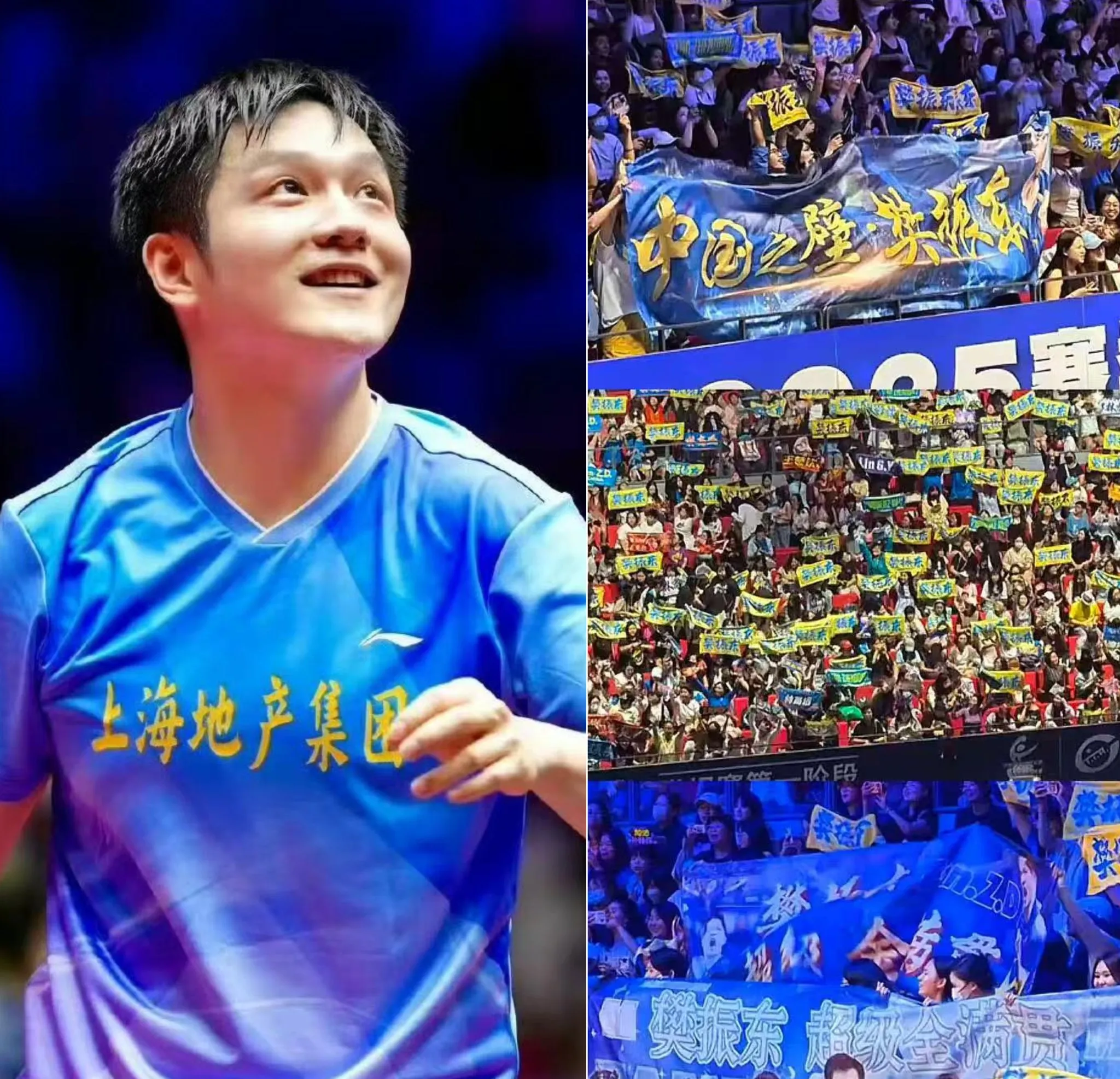 日本乒乓球队横扫波兰乒乓球队，樊振东爆发神勇的简单介绍