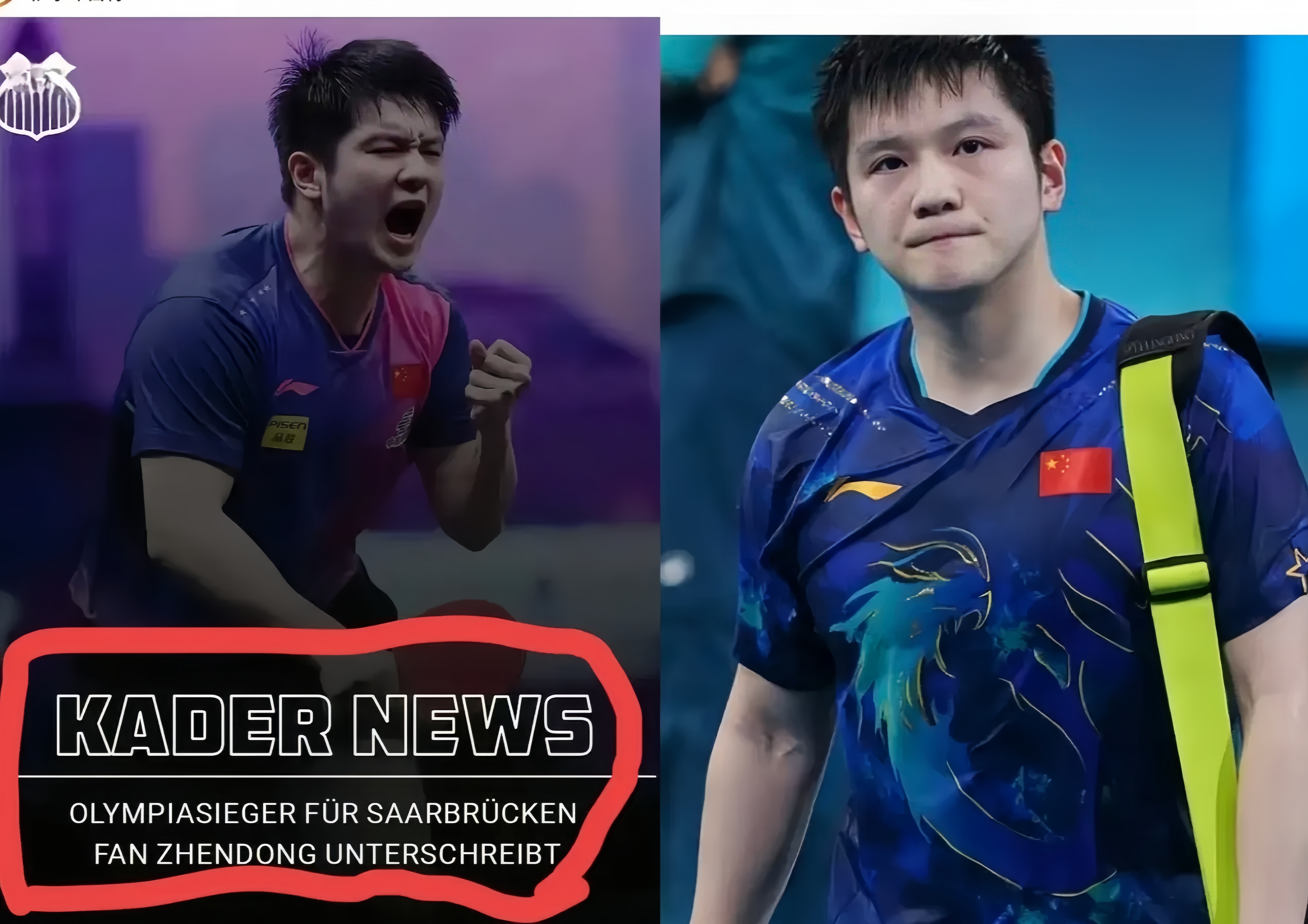 法国队险胜德国队，樊振东带队取胜