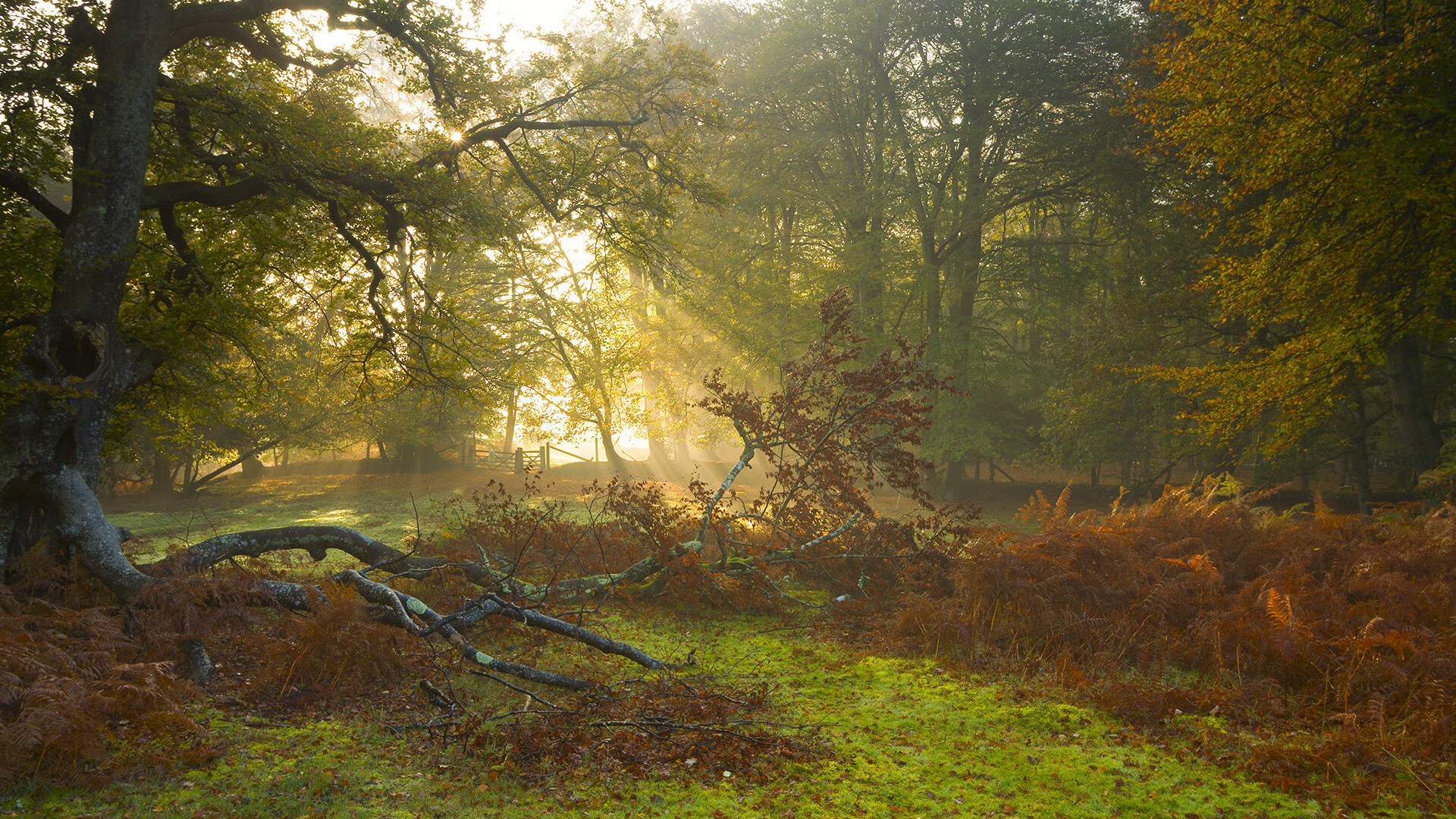 跨界之王，阿根廷足球狂胜葡萄牙，C罗篮球东决关键战接管比赛