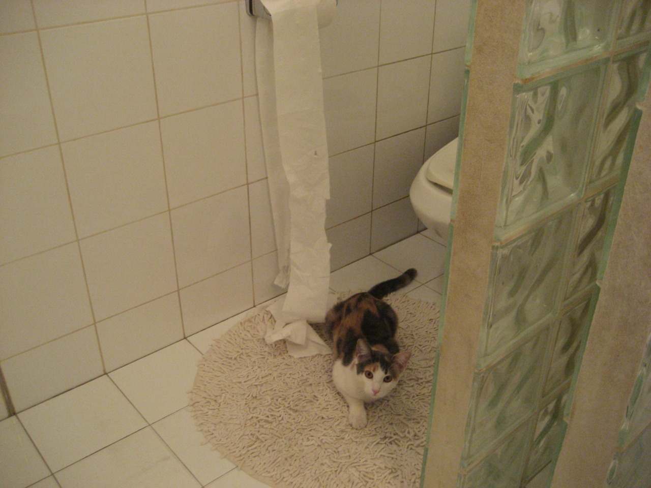 绿茵篮球场,当欧冠焦点战遭遇灰熊的关键战役