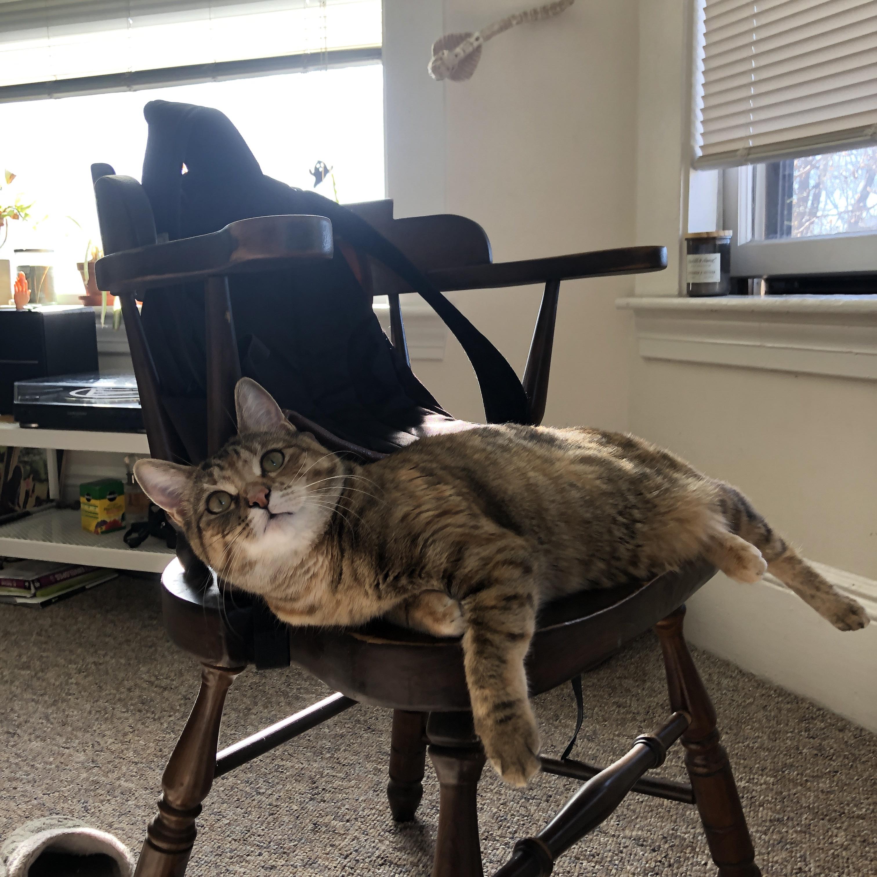 数据隐身却统治全场，当塔图姆在骑士vs勇士的战场上存在感拉满