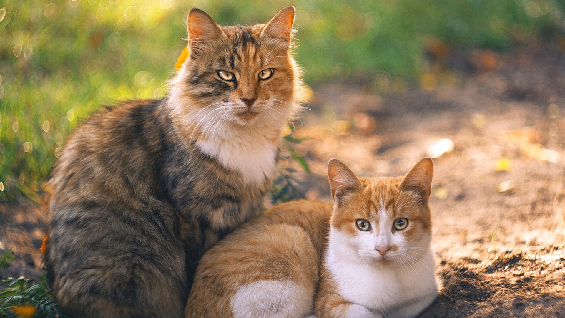 英雄主义无疆界，当塞维利亚的锁链遇见久保建英的利刃