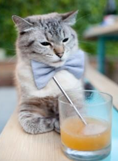 量子纠缠式的胜利，巴尔韦德一箭穿心助皇家社会锁定淘汰赛席位