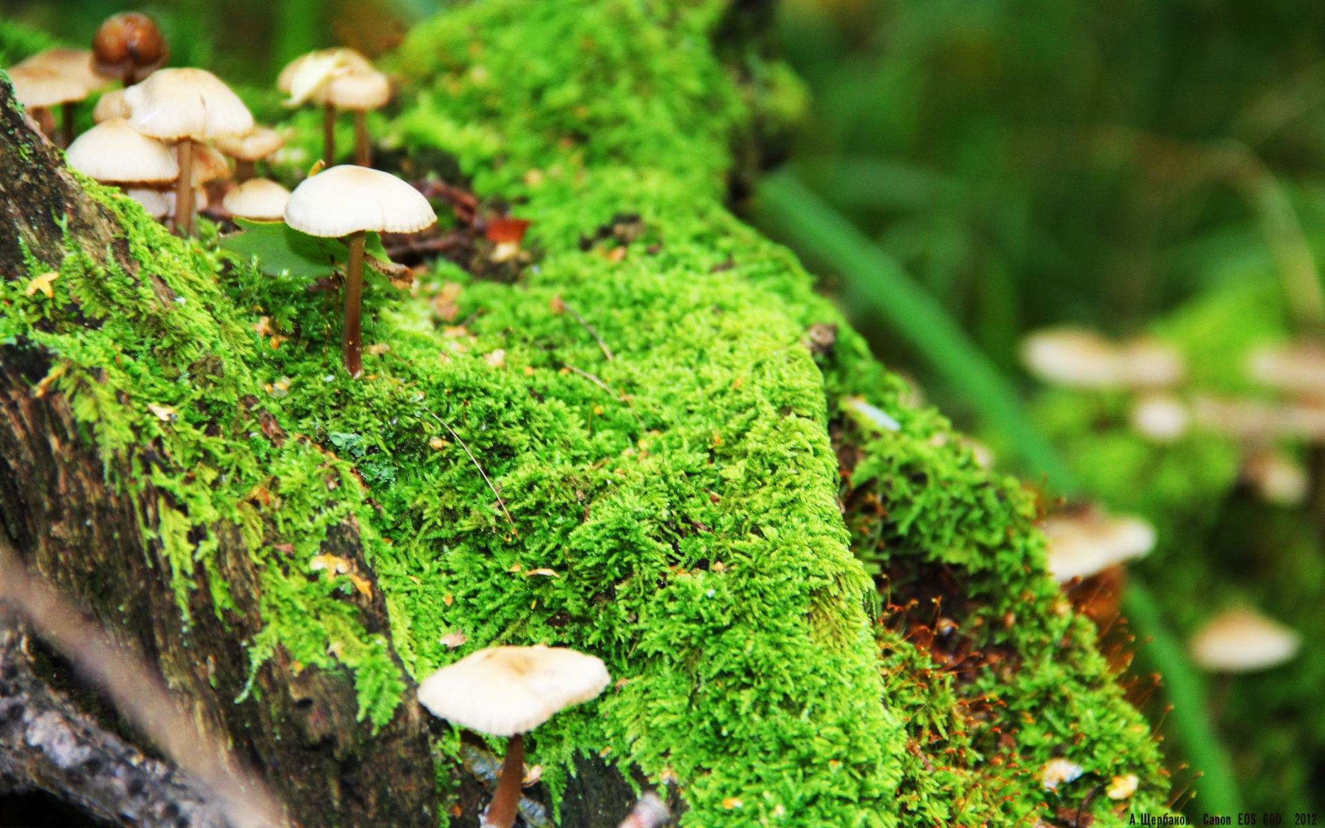 方程式与数字的交汇点