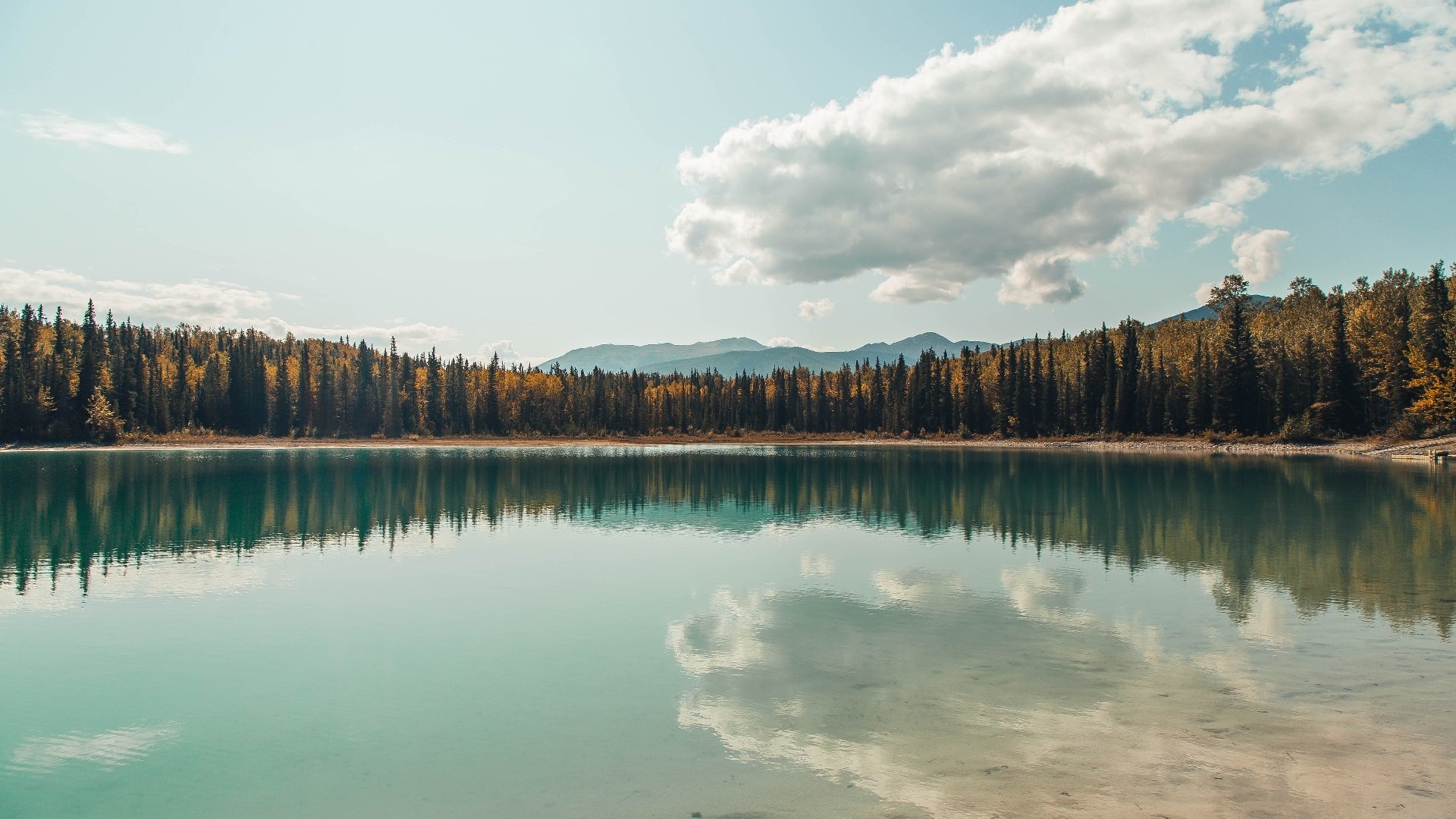 戈贝尔封锁世界,辽宁击碎不败神话