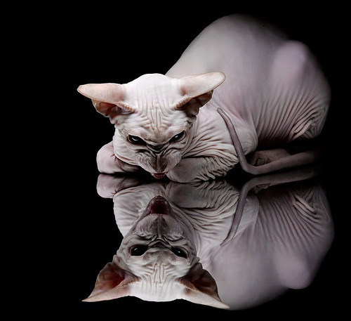 蓝色与绛红的共同答案，论救赎的两种形式