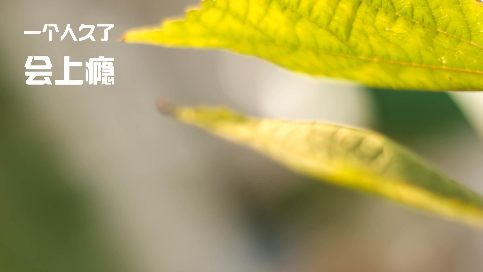 超越胜负的教科书，卢卡库如何在对阵毕尔巴鄂的炼狱中，为现代中锋重写定义