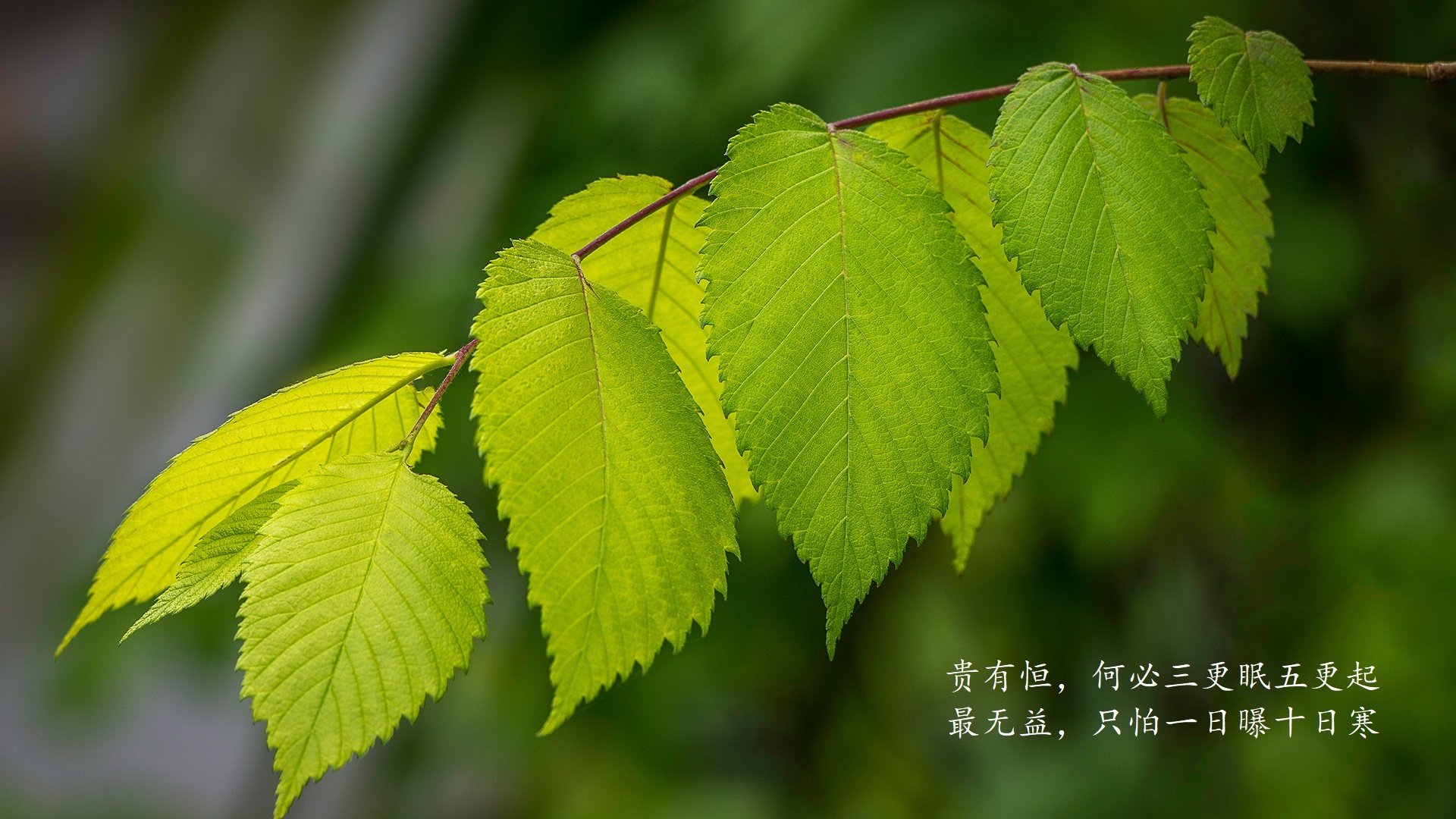 2026世界杯E组暗战,范戴克铁血防线封神,波兰从加纳脚下抢走宿命之胜