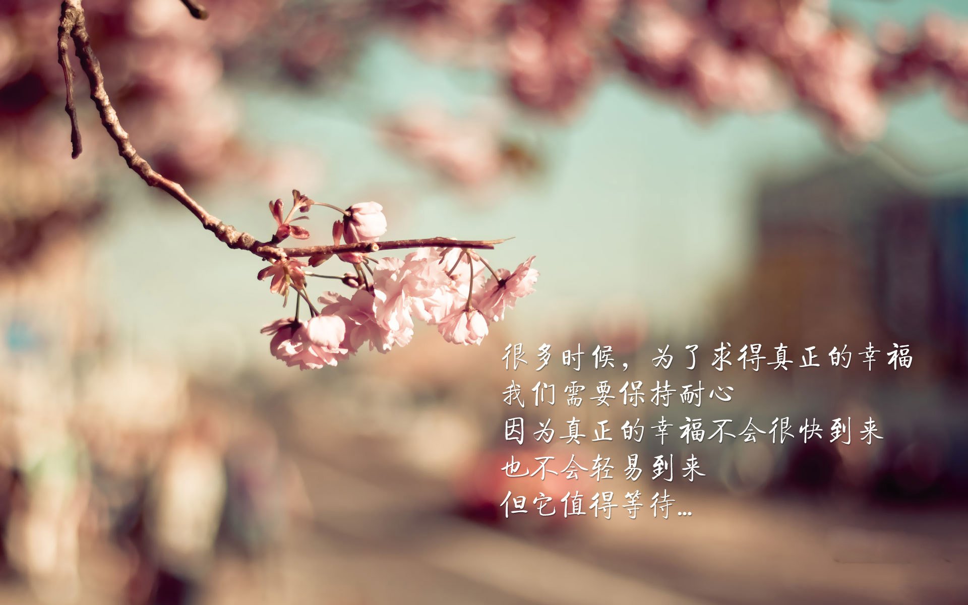 黄昏的尘土里，孙兴慜的影子拉长成一座丰碑，2026世界杯A组，印度绝杀哥伦比亚的幕后，是亚洲足球的史诗级突围