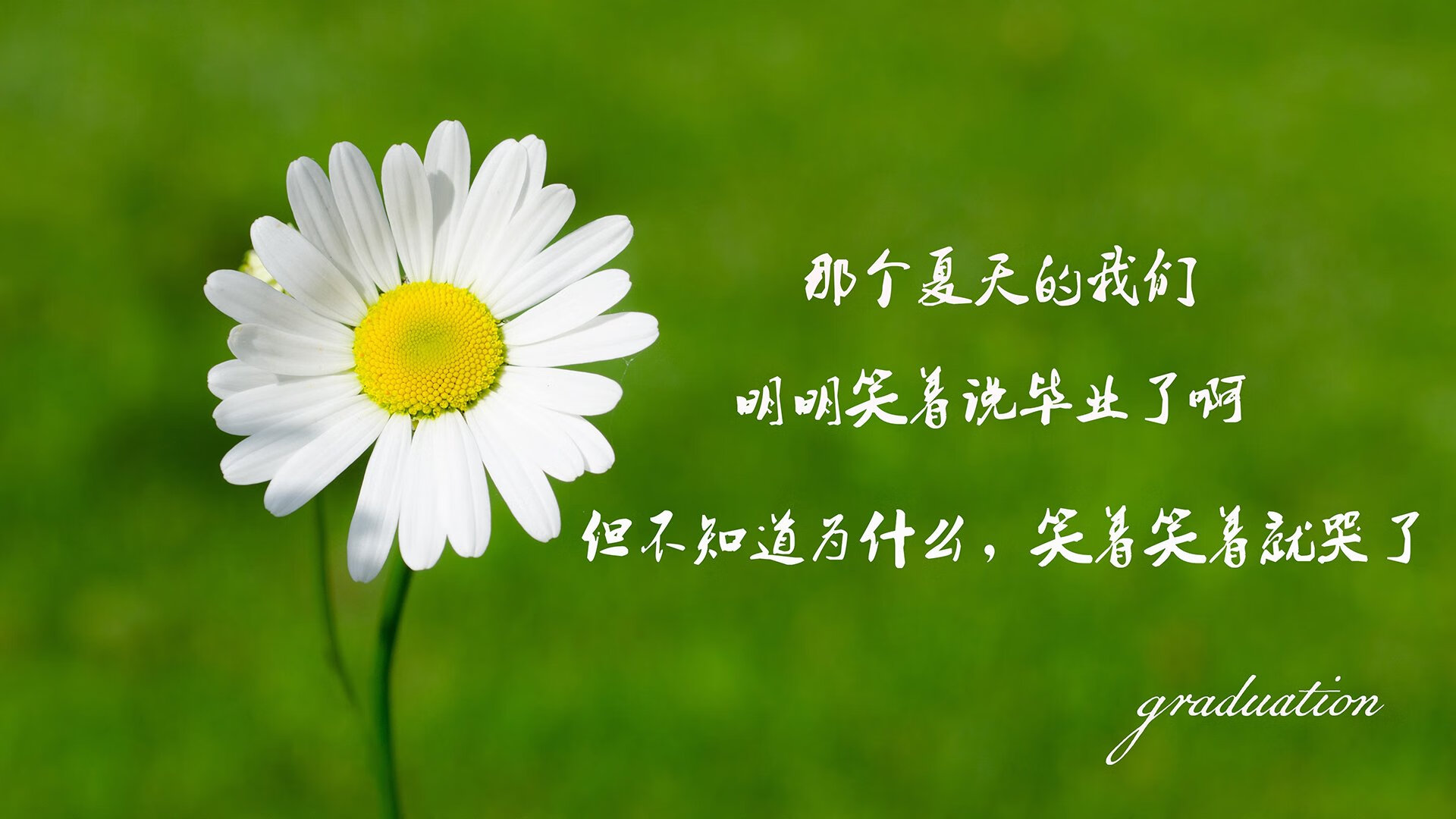当蓝海遇见北欧海盗—2026世界杯揭幕战,乌兹别克斯坦的狂想曲与托纳利的个人史诗
