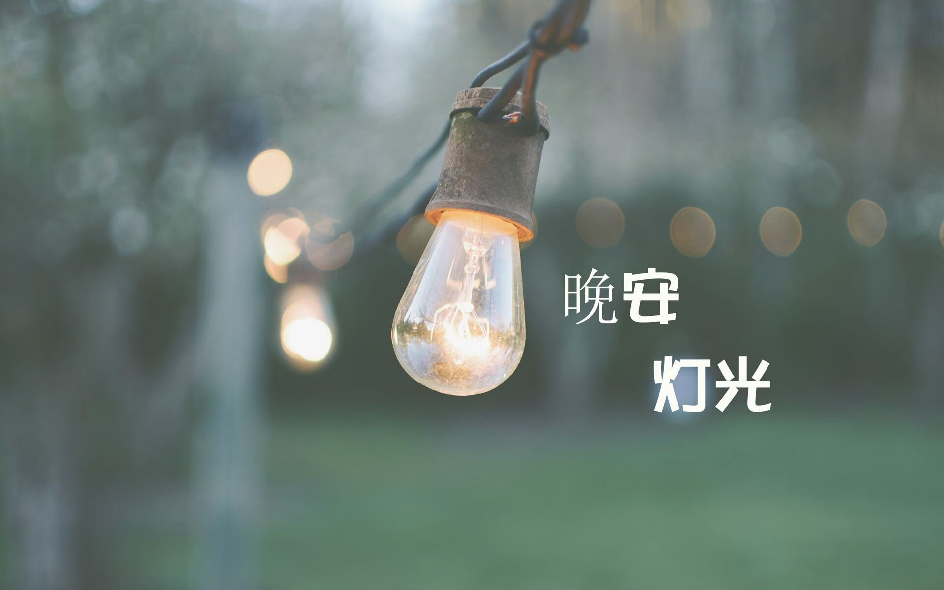 德黑兰之夜,巴雷拉闪电反击绝杀斯洛伐克,伊朗一脚踏进2026世界杯十六强