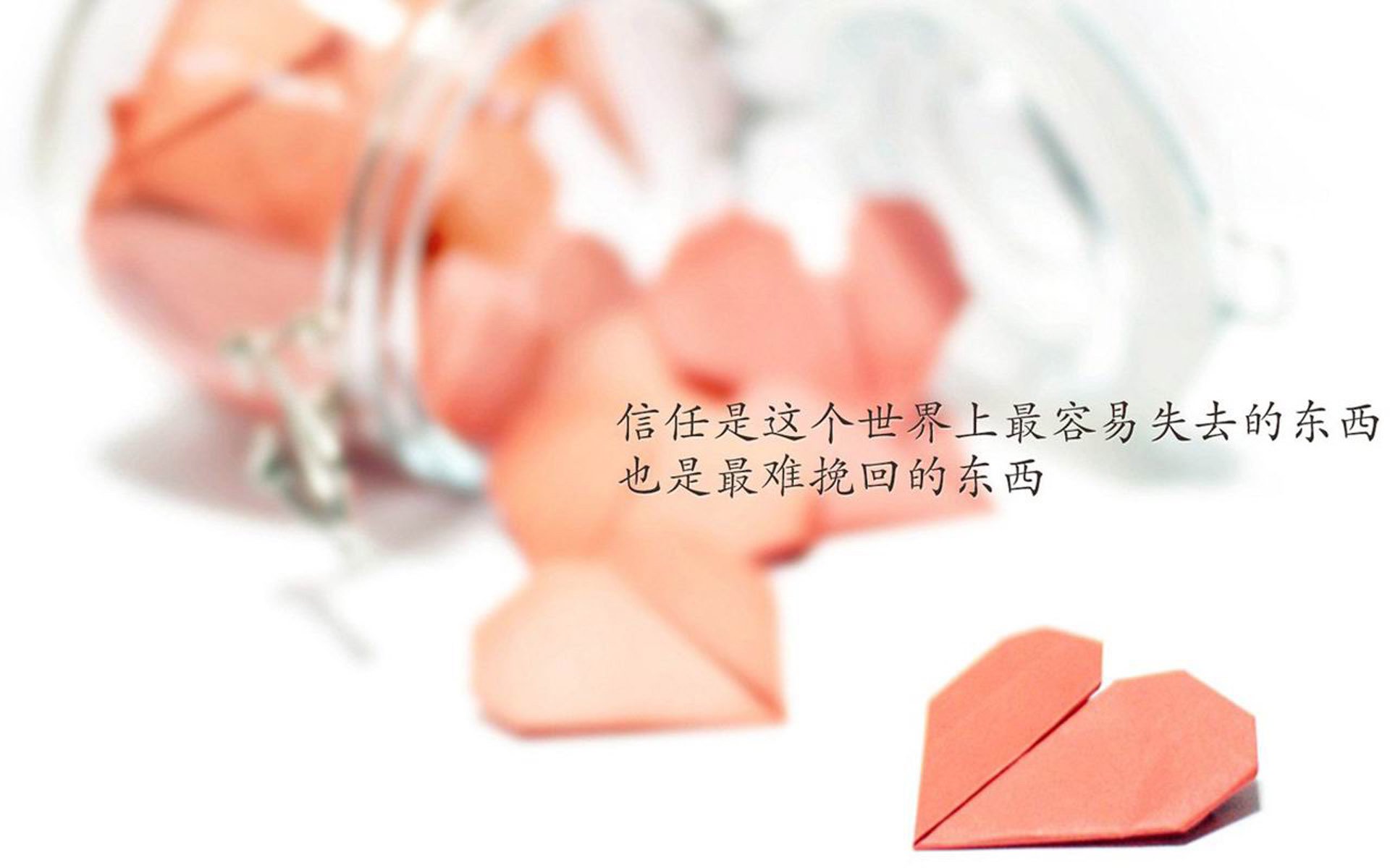 (备选)