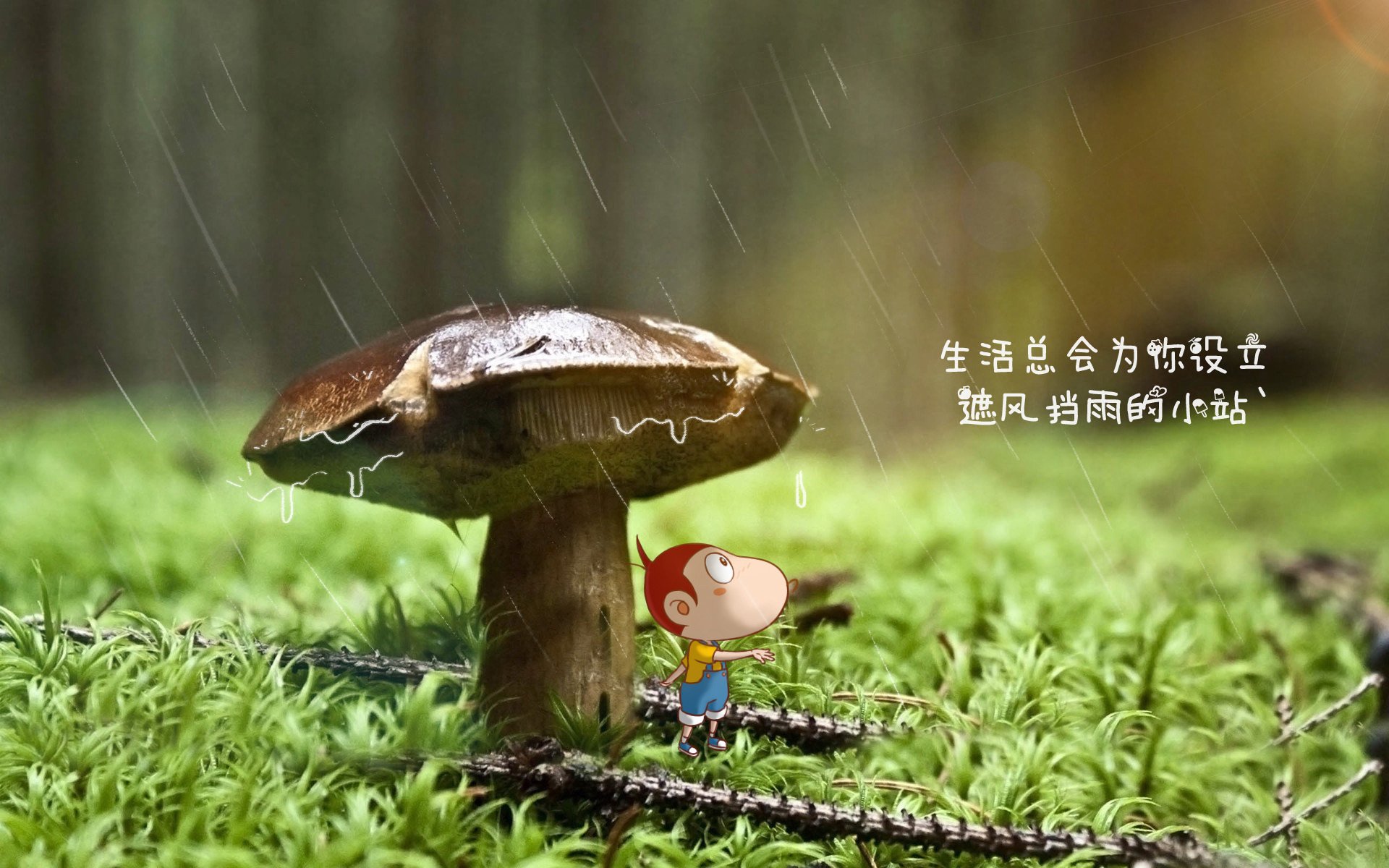 2026世界杯E组焦点战,波兰横扫加纳,C罗不老传说再写传奇